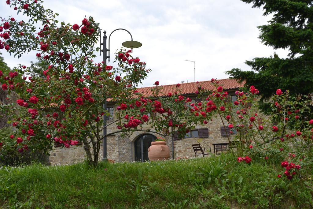 Fattoria Il Praticino Castelfranco di Sopra Exterior photo