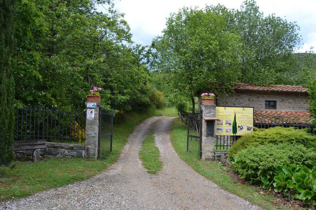 Fattoria Il Praticino Castelfranco di Sopra Exterior photo